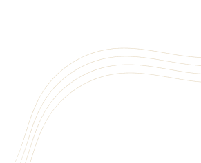 counter_shape03.png